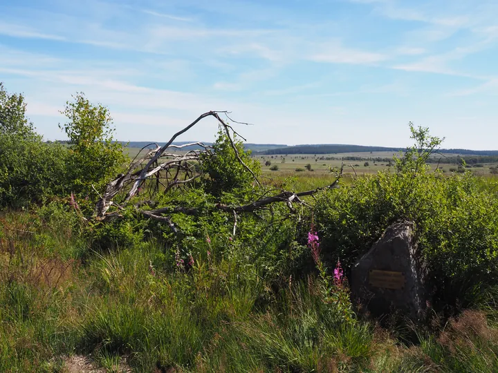 Signal de Botrange (Belgium)